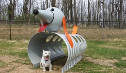 Play area at Happy Hounds Playground